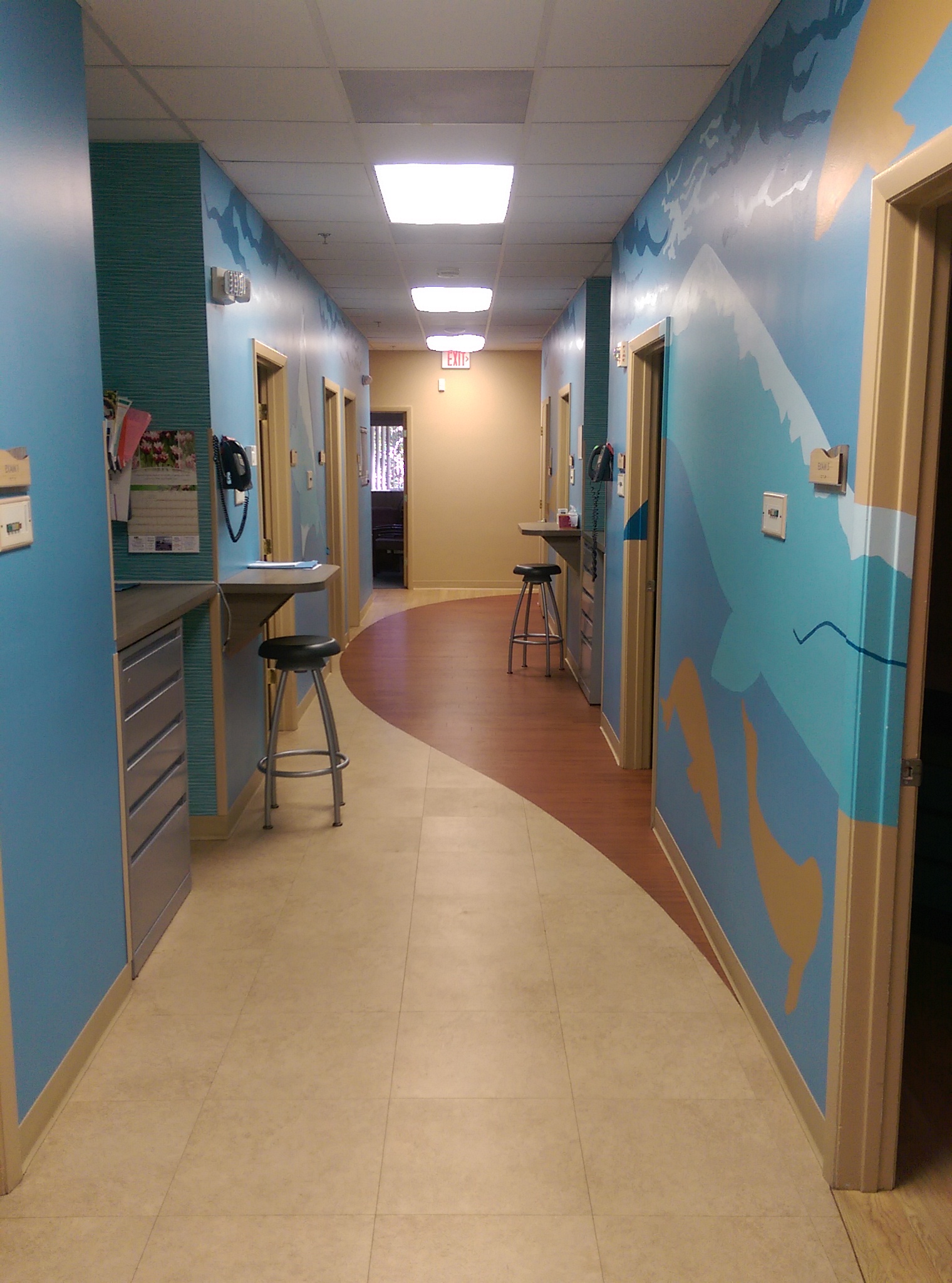 Pediatrics in Brevard Photo