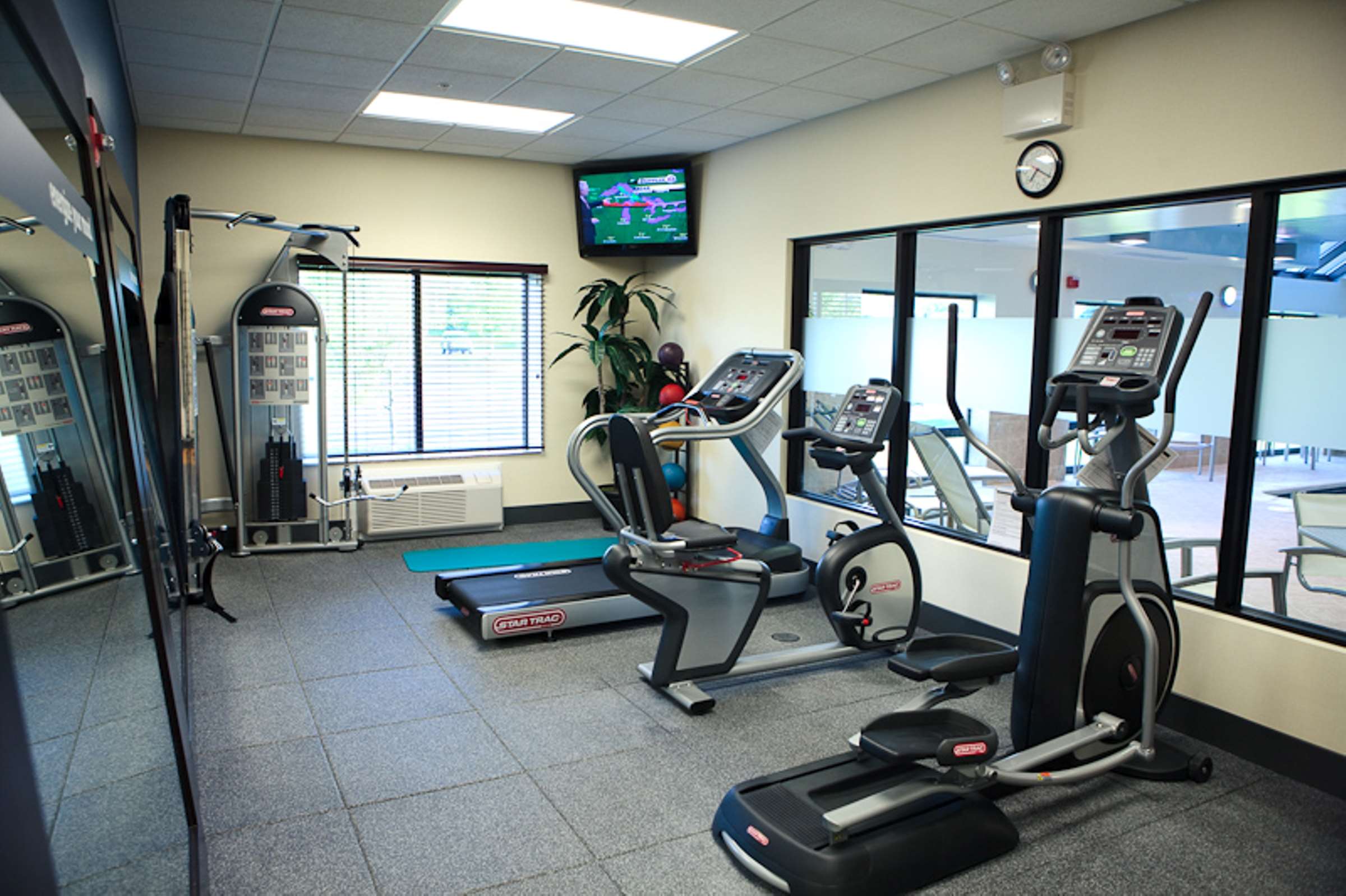 Health club  fitness center  gym