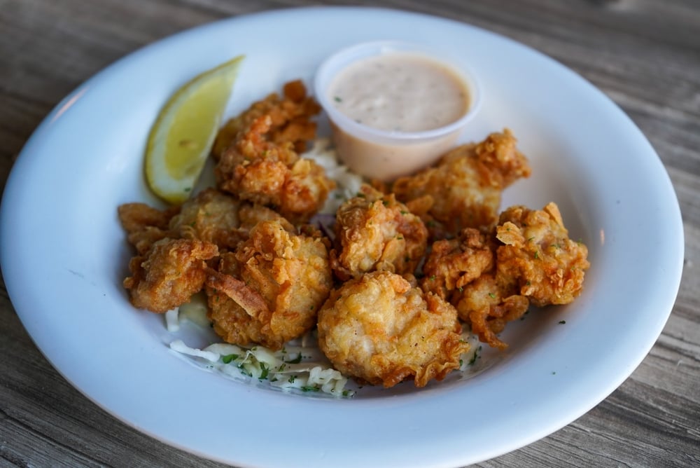 Gator Bites