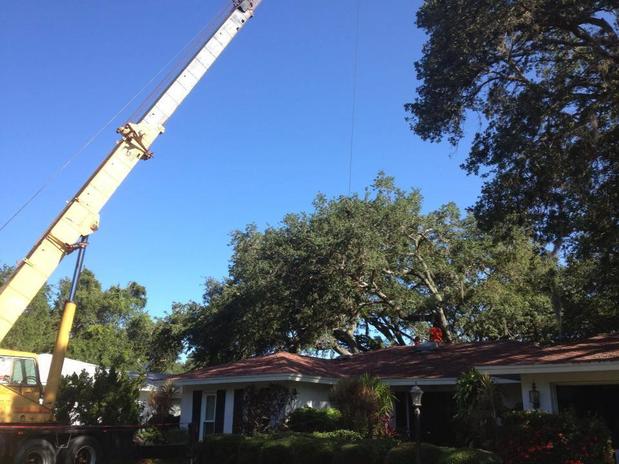 Images Deans Tree Services