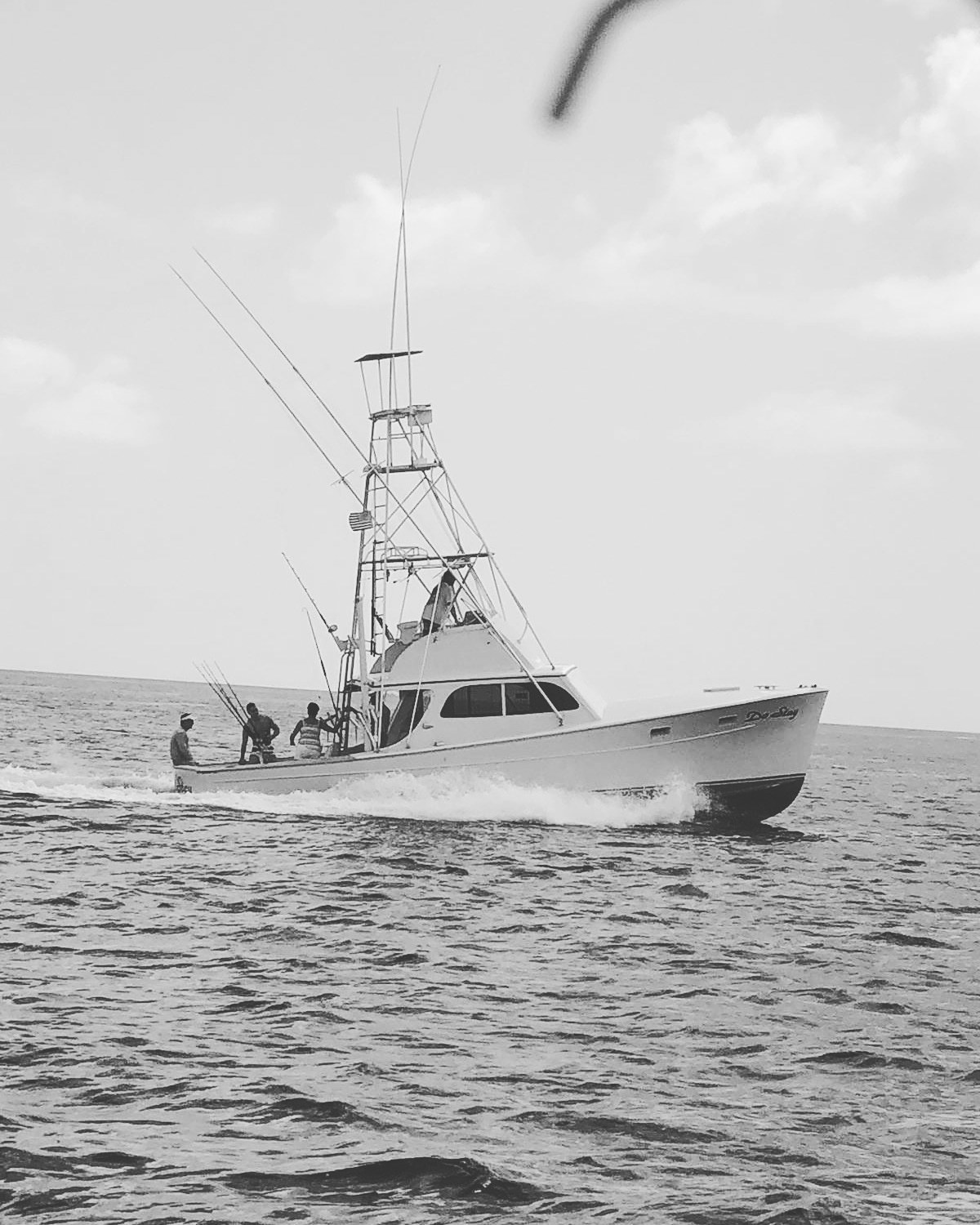 Do Stay Sportfishing Charters Photo