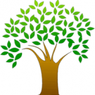 Barnhardt Landscape Logo