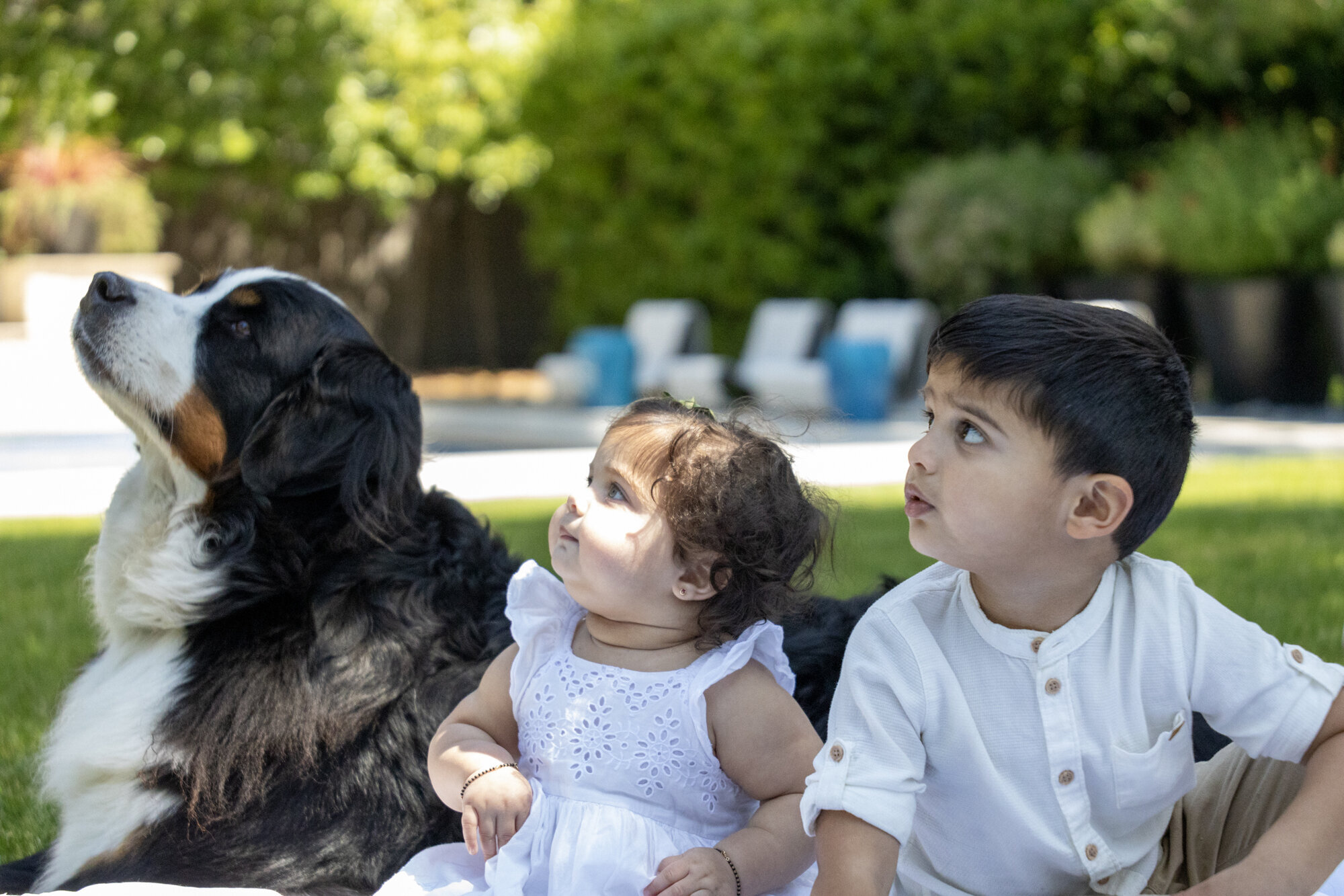 YSIPIX Photography Studio Image