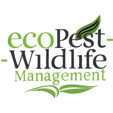 ecoPest Wildlife Management