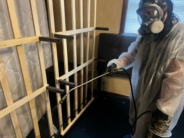 Bedbug Treatments