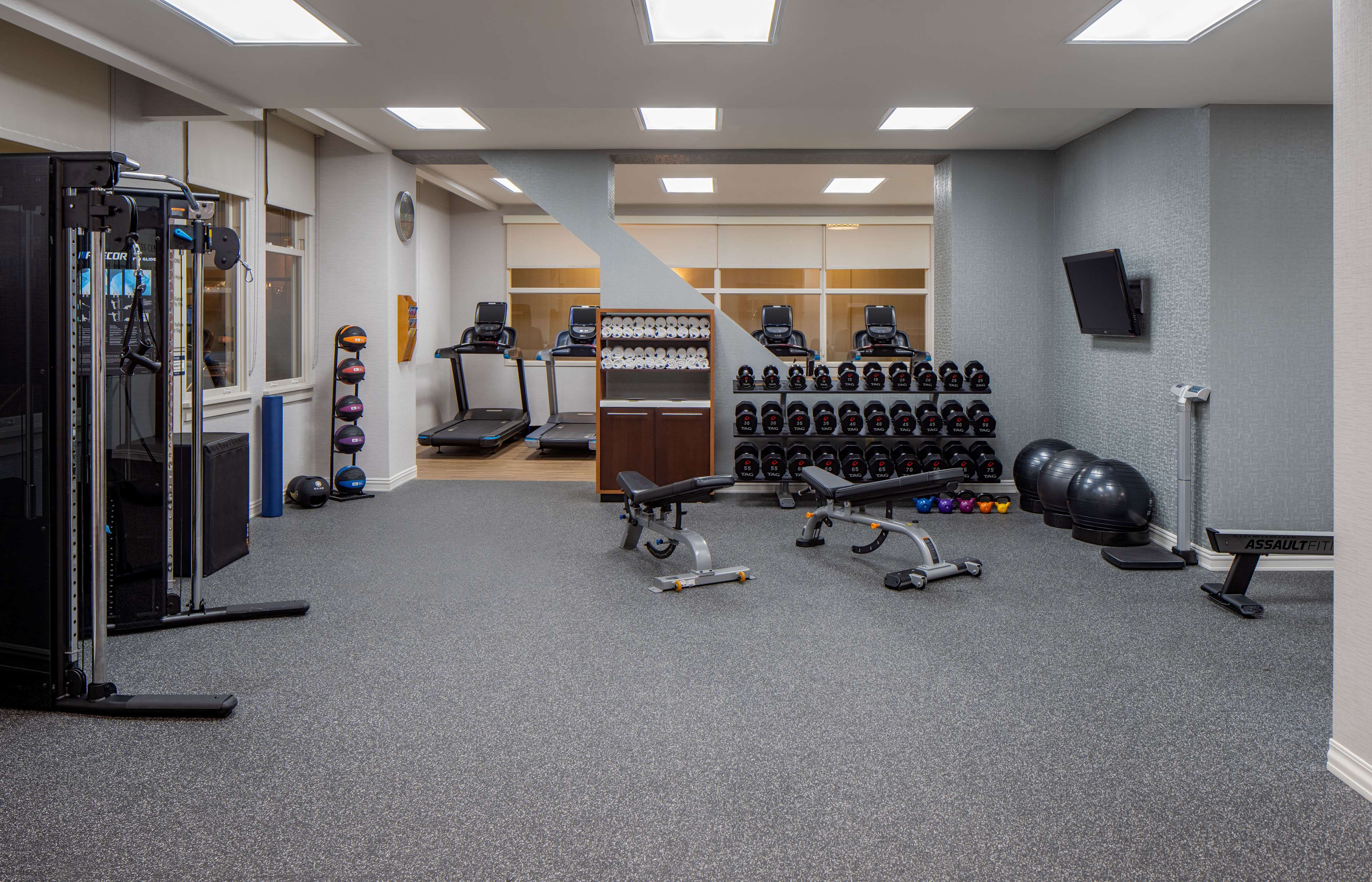 Health club  fitness center  gym