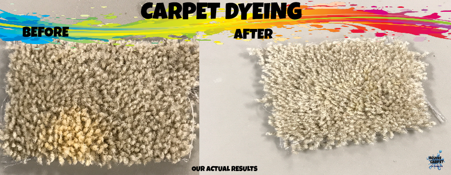 Revive Carpet Repair, Dyeing & Cleaning Photo