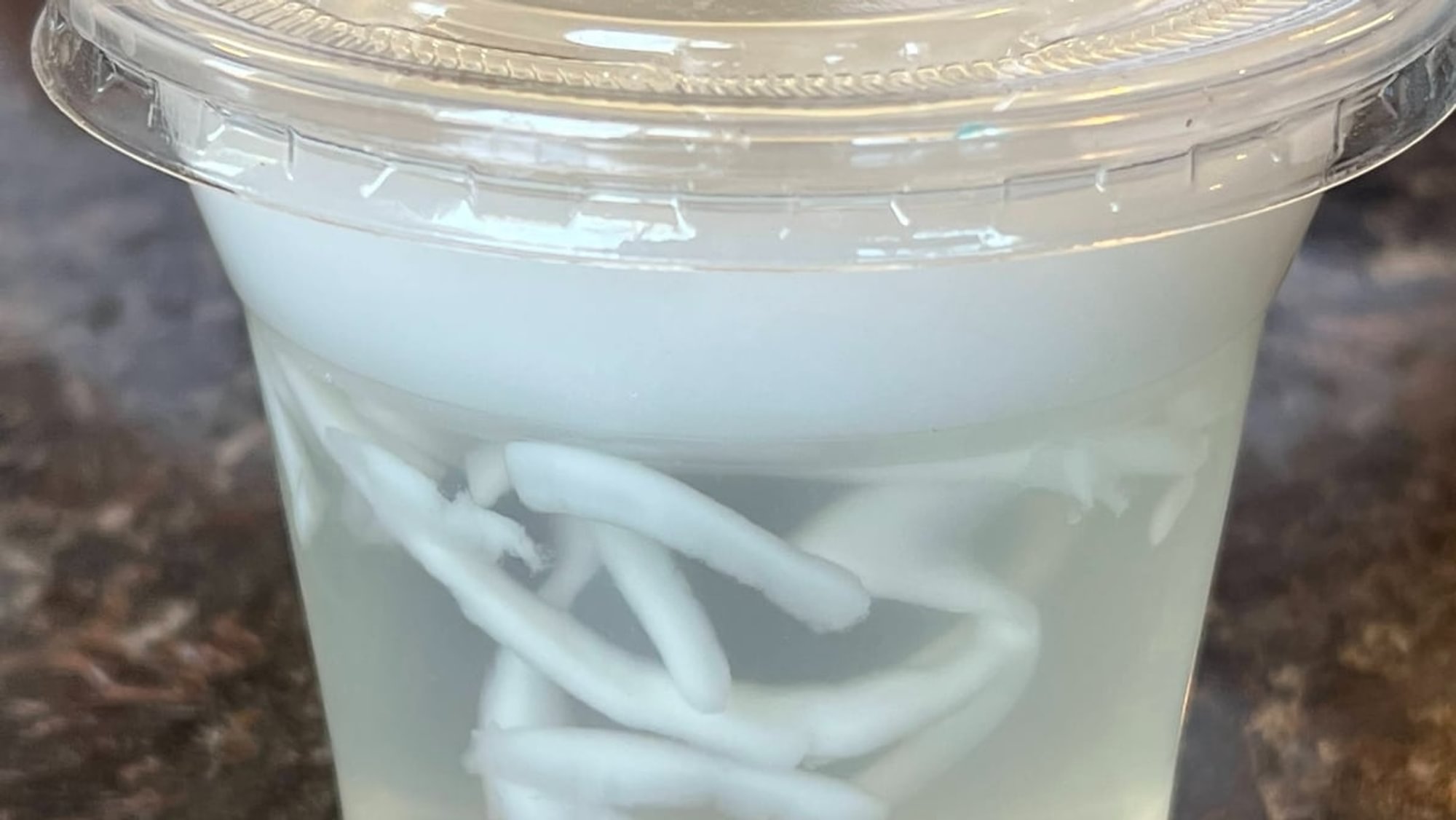 Fresh Coconut Jelly