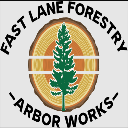 Fast Lane Forestry &amp; Arbor Works LLC Logo