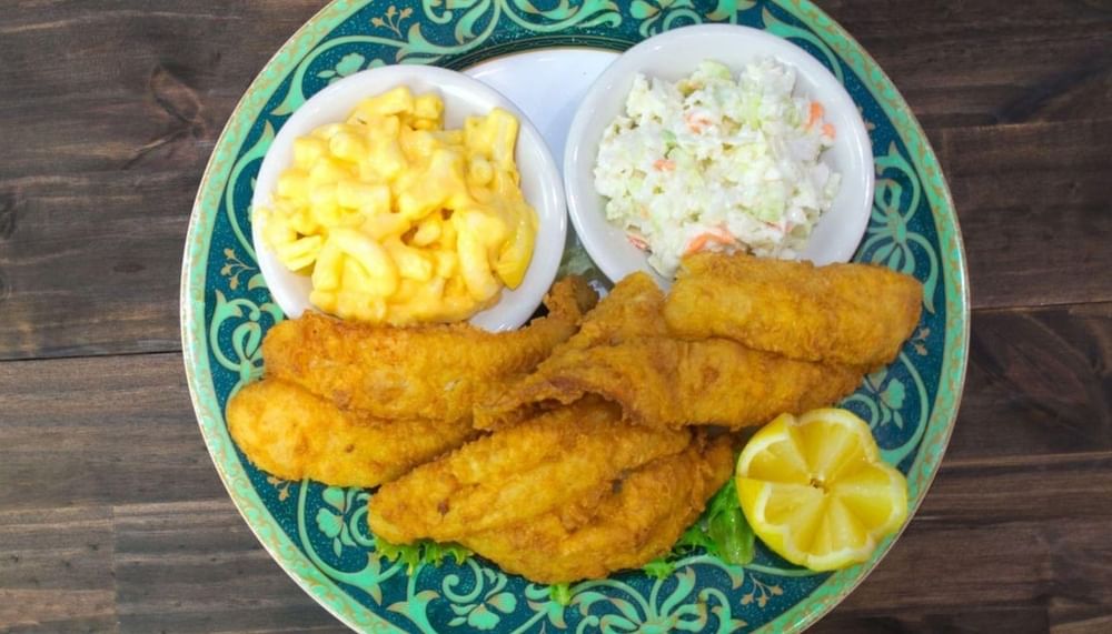 Mississippi Catfish