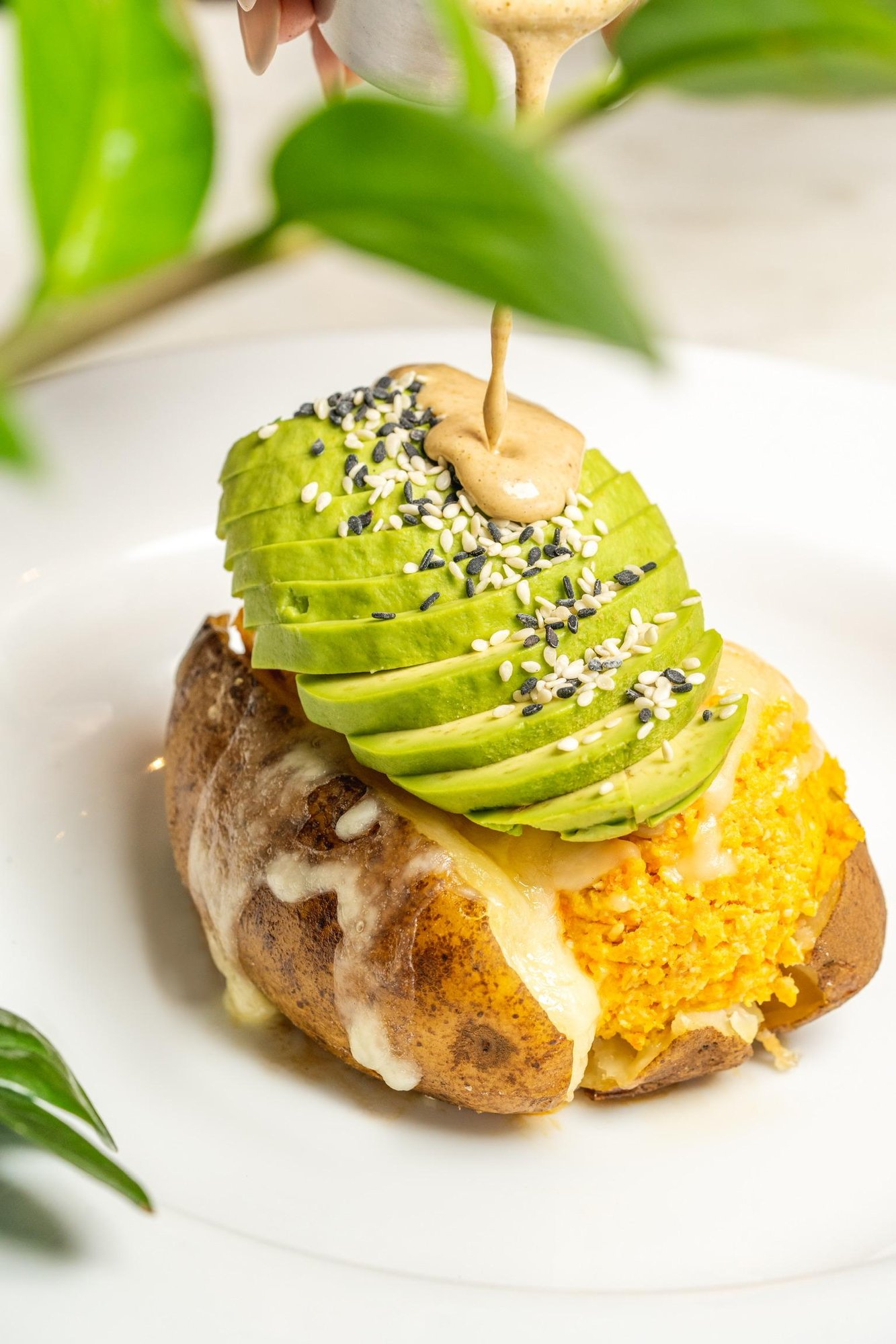 Chicken Loaded Potato