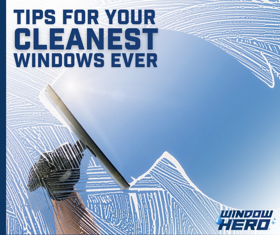 Window Hero Charlotte Image