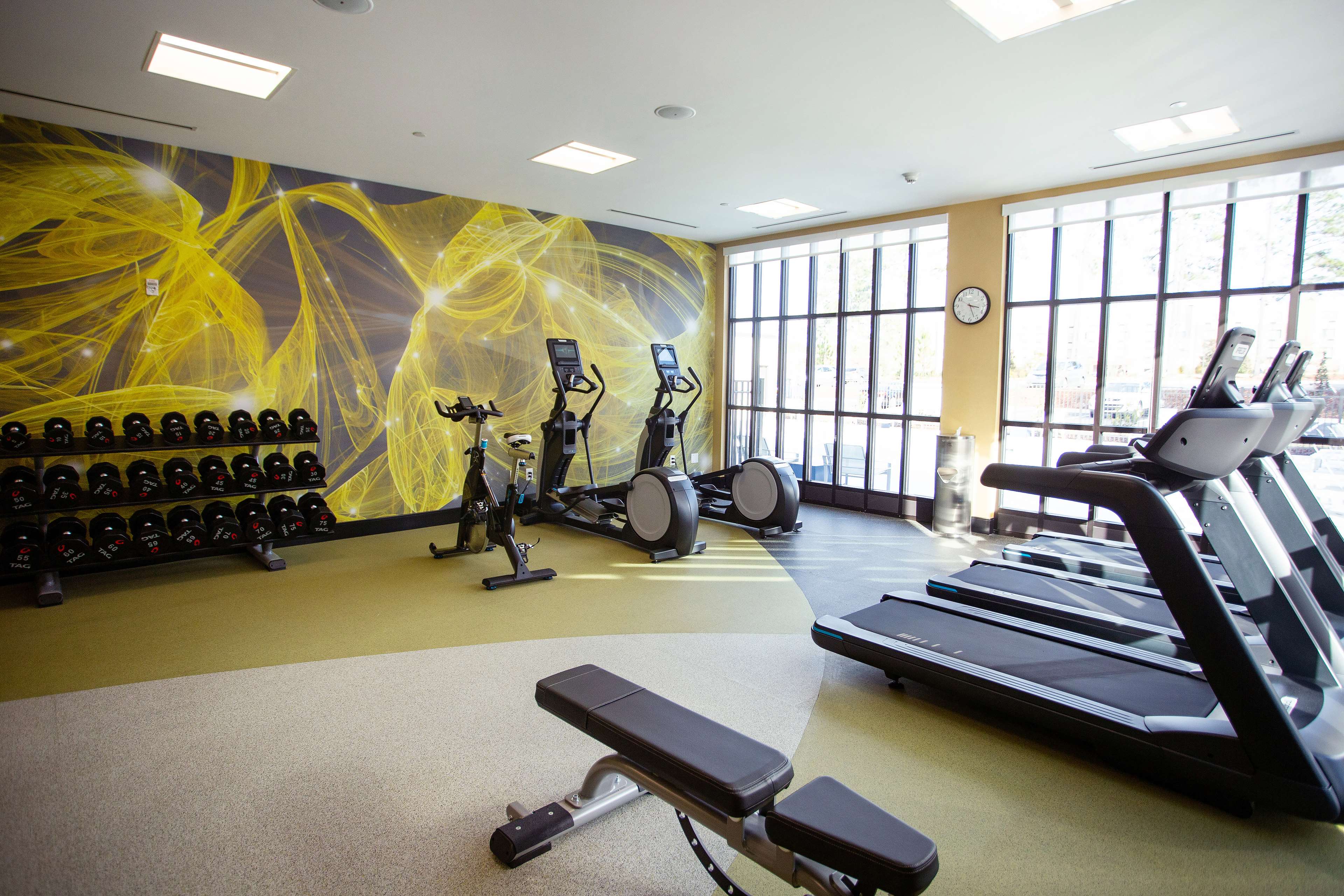 Health club  fitness center  gym