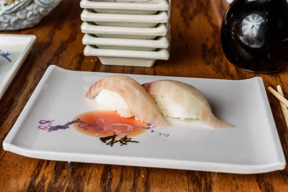 Red Snapper •