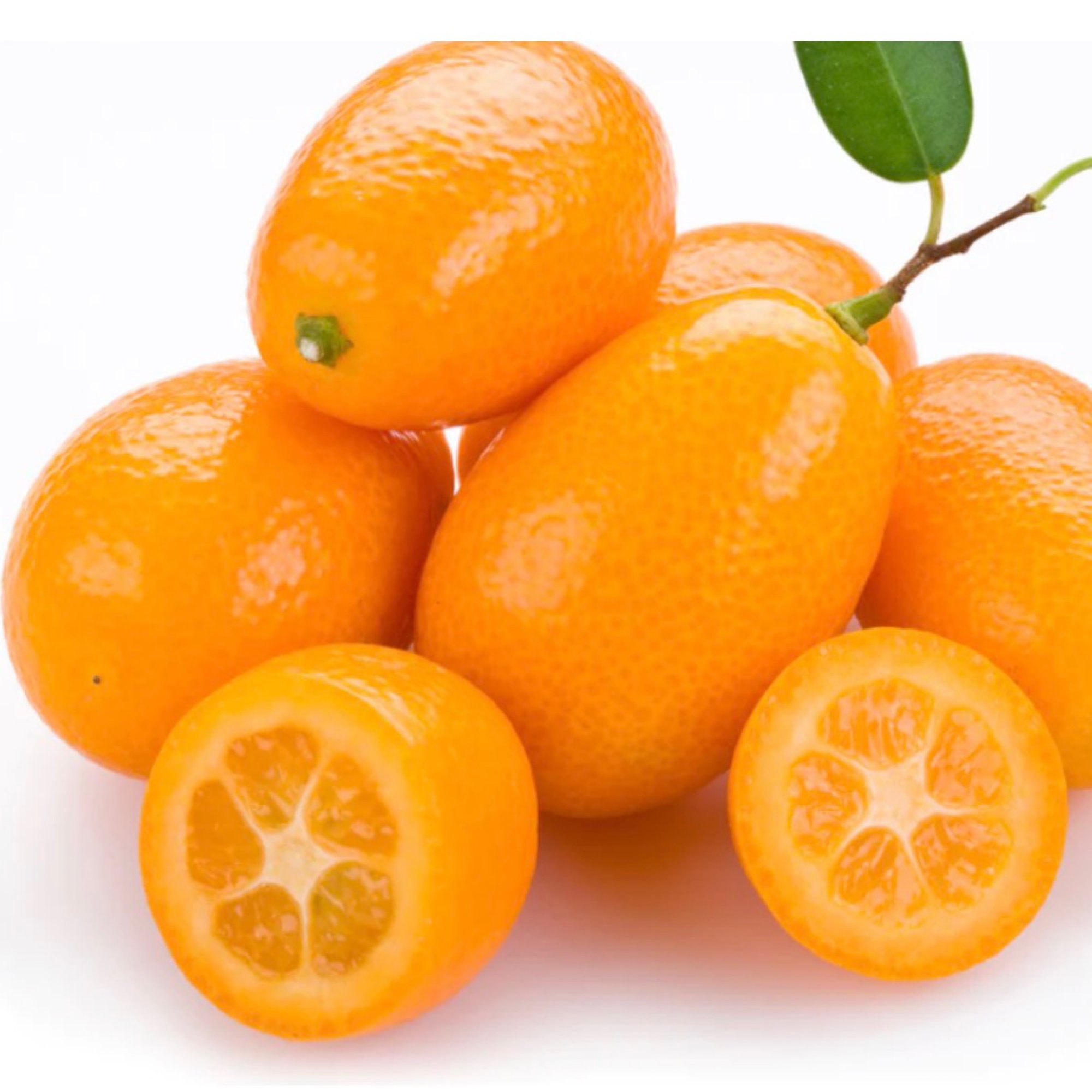 Kumquat Bliss