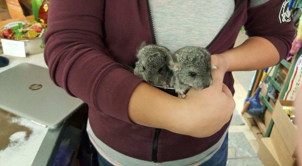 Liberty Pet &amp; Supply Logo