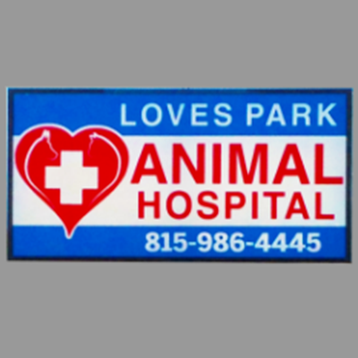 Animal Hospital of Loves Park Photo