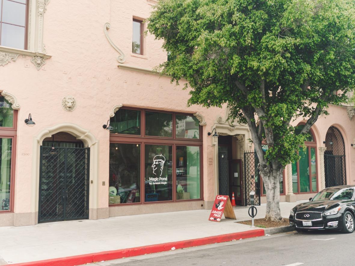 Jurassic Magic Image