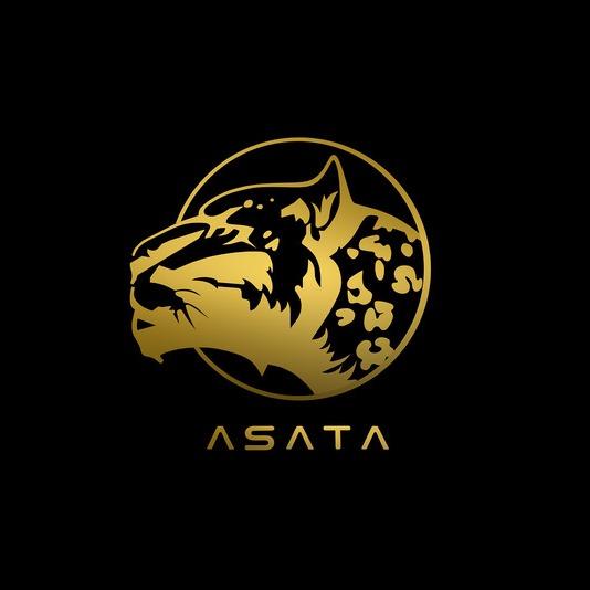 Asata Moving Logo