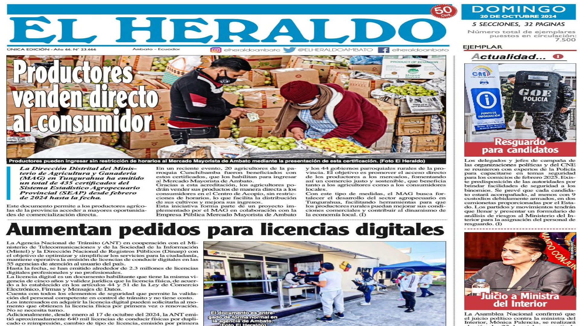 Galería en miniatura
