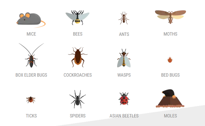 Fenix Pest Control, Inc. Image