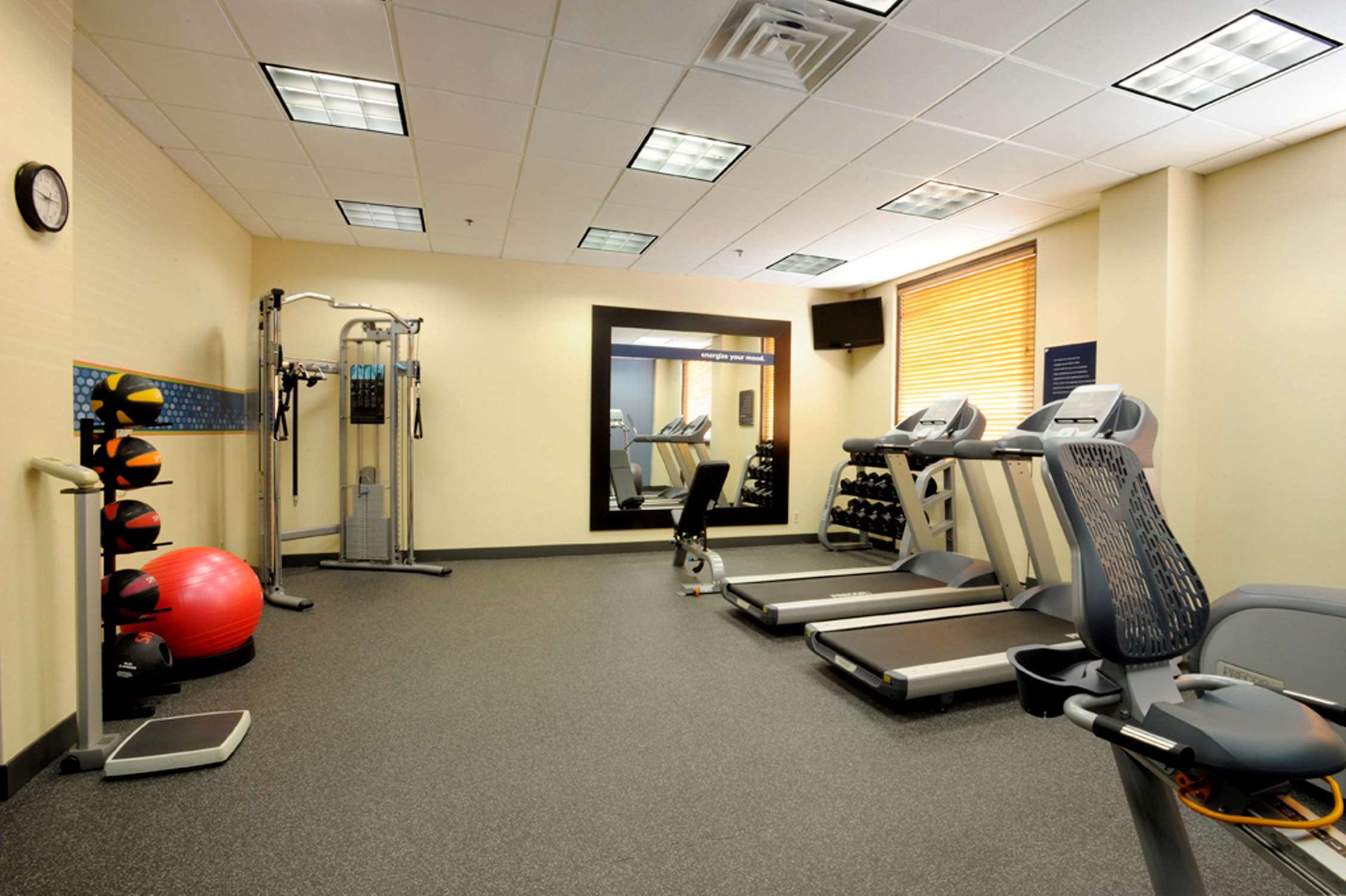 Health club  fitness center  gym