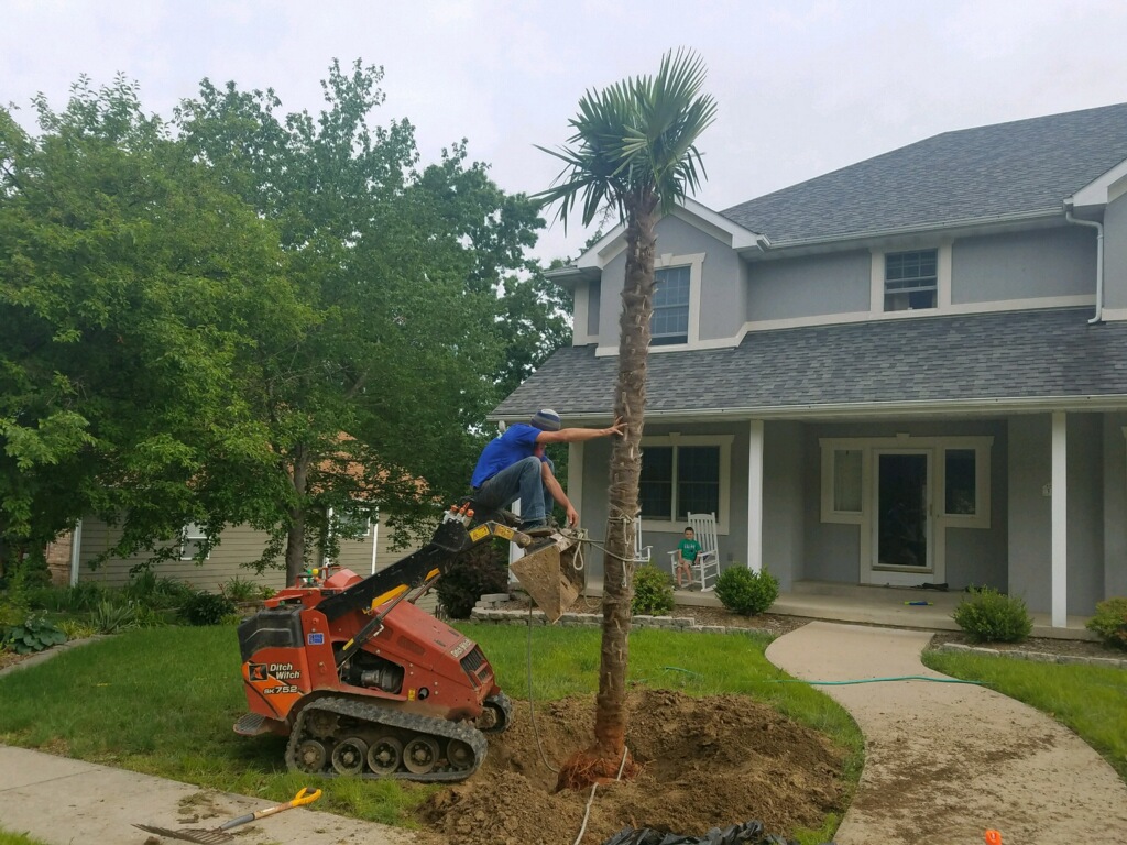 Voss Landscape & Tree Service Photo