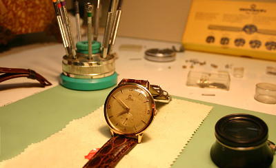 Gallery thumbnail