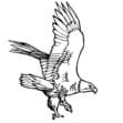 Independent Roofing Inc