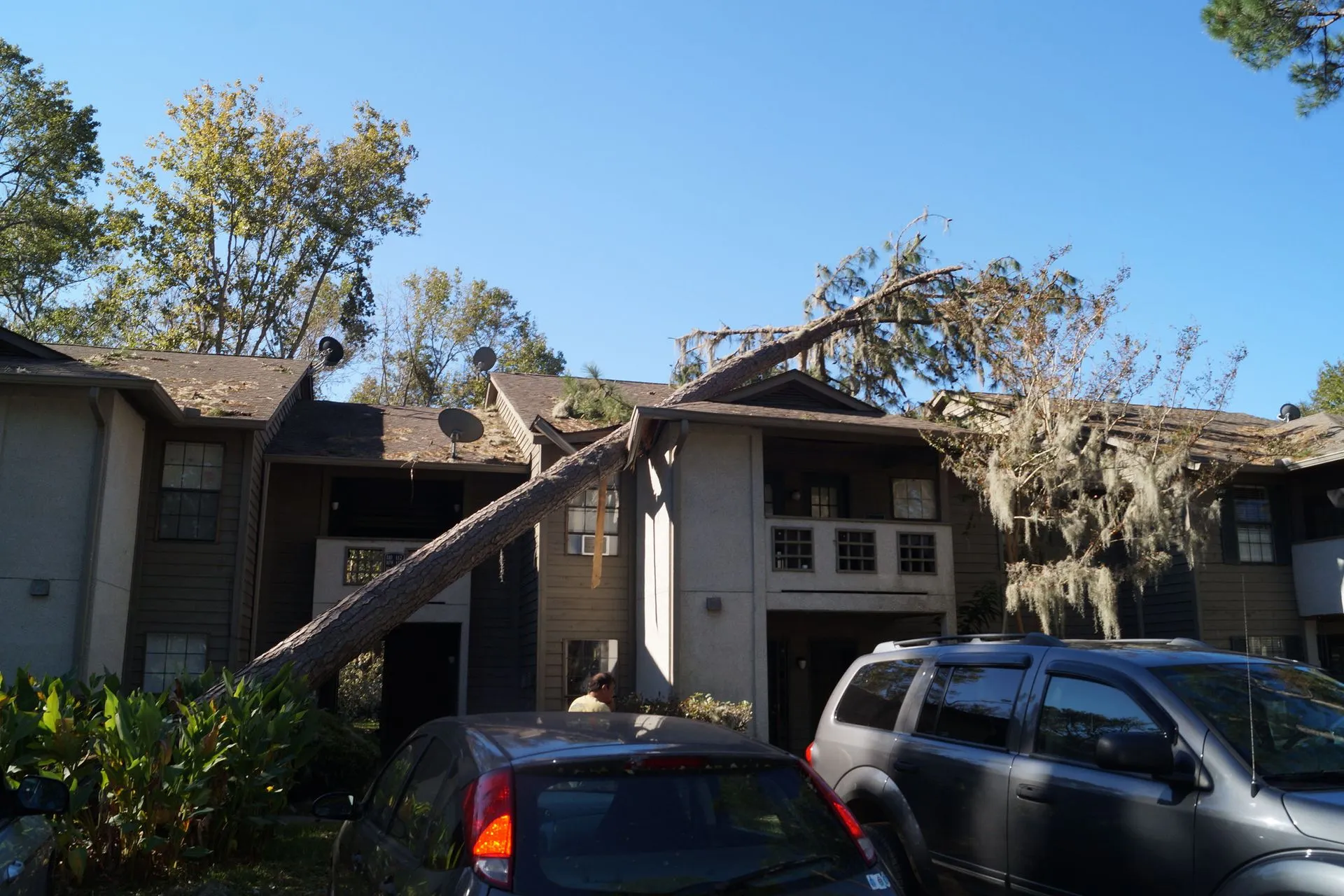 Emergency Disaster Restoration