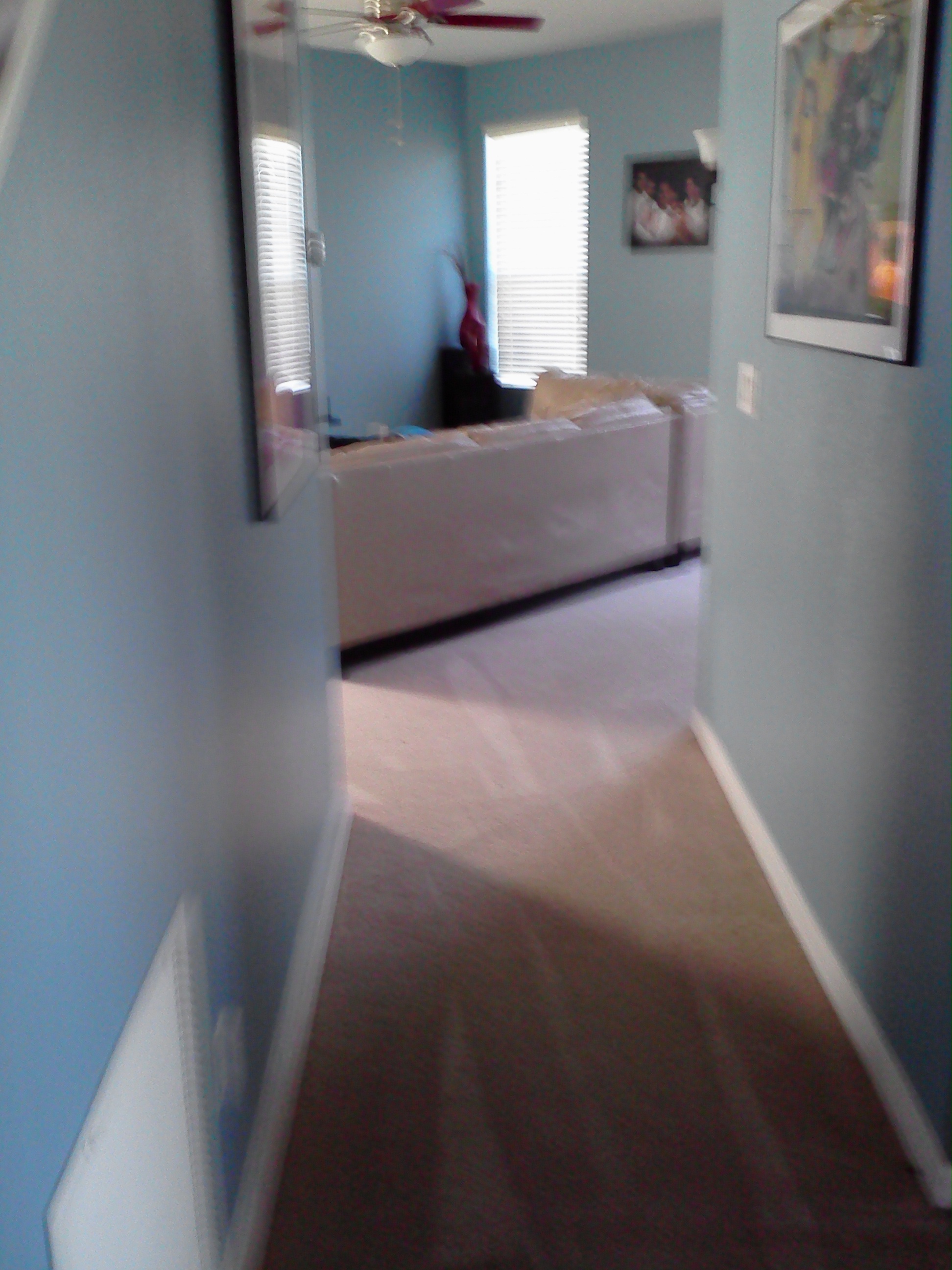 jenbricarpetcleaningorlando.com Image