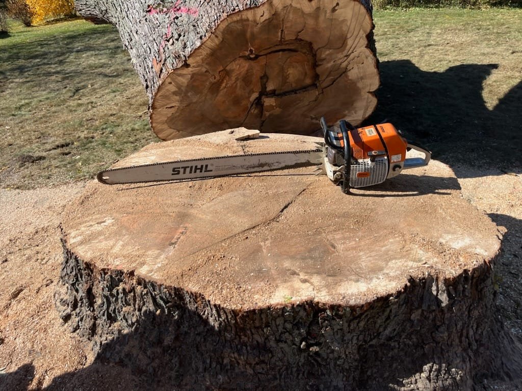 Tim's Tree Service Image