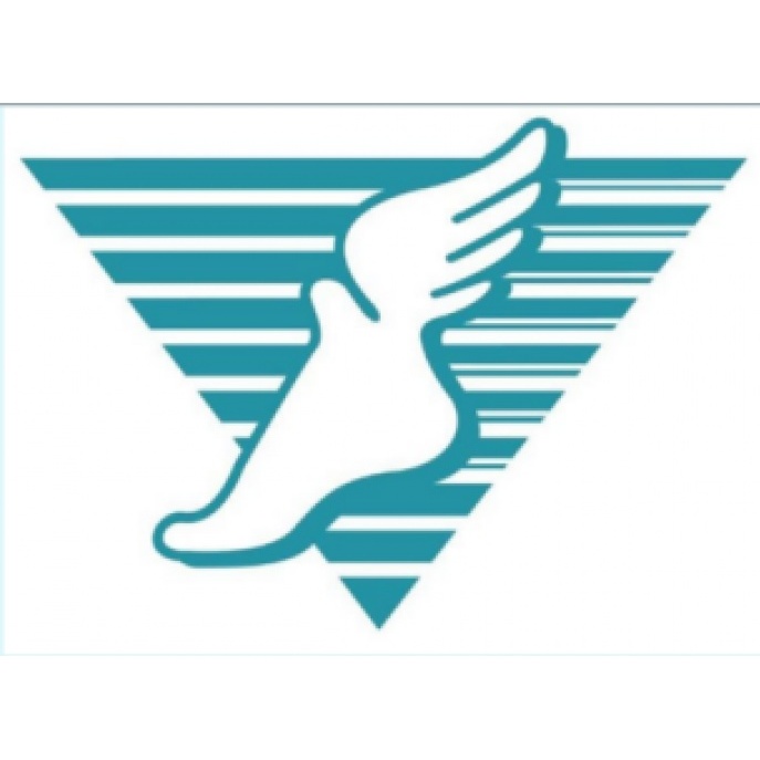 Foot &amp; Ankle Specialists , P.C. Logo