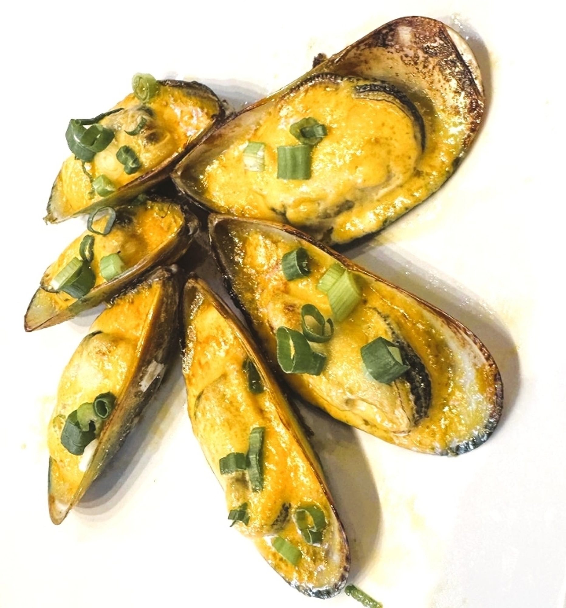 Mussels 1/2 DZ
