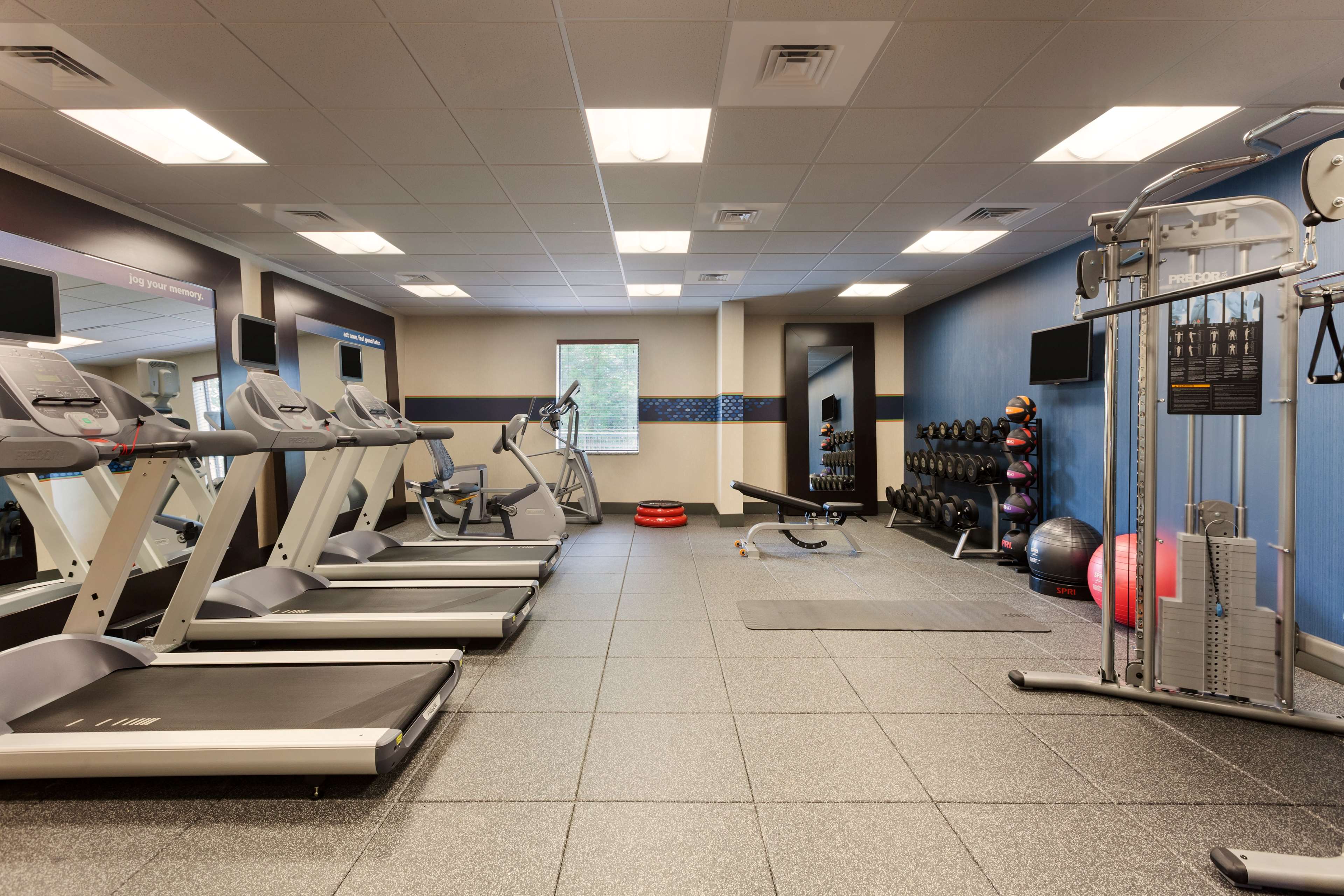 Health club  fitness center  gym