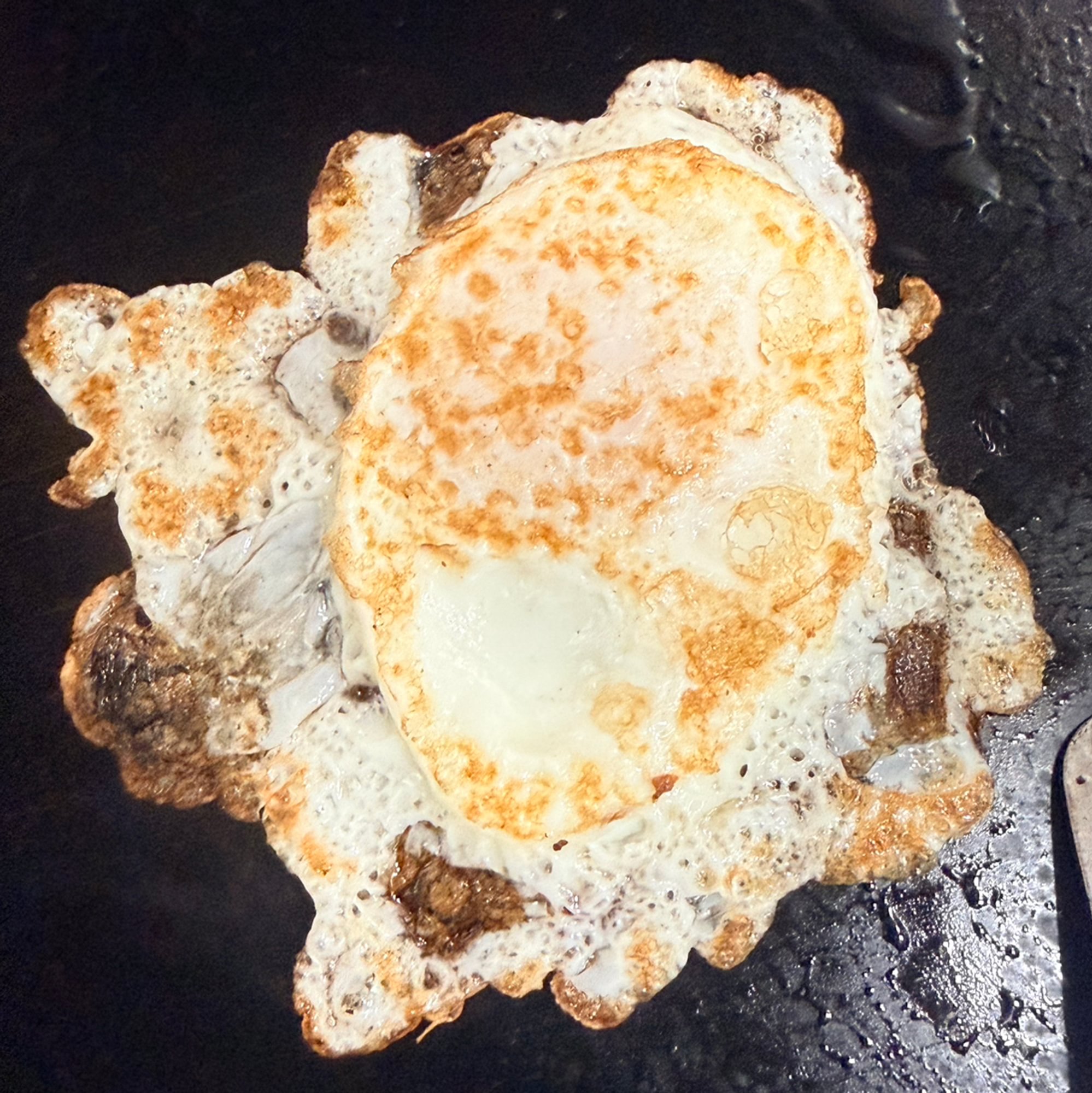 Fried Egg