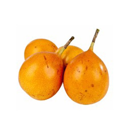 Passiflore Fruit exotique 1und