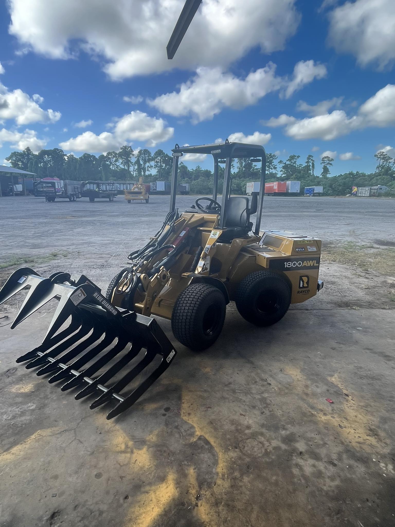 Timber Tree Co Image