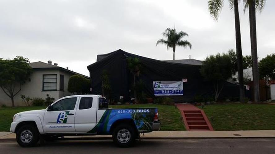 Paradise Pest Solutions Logo