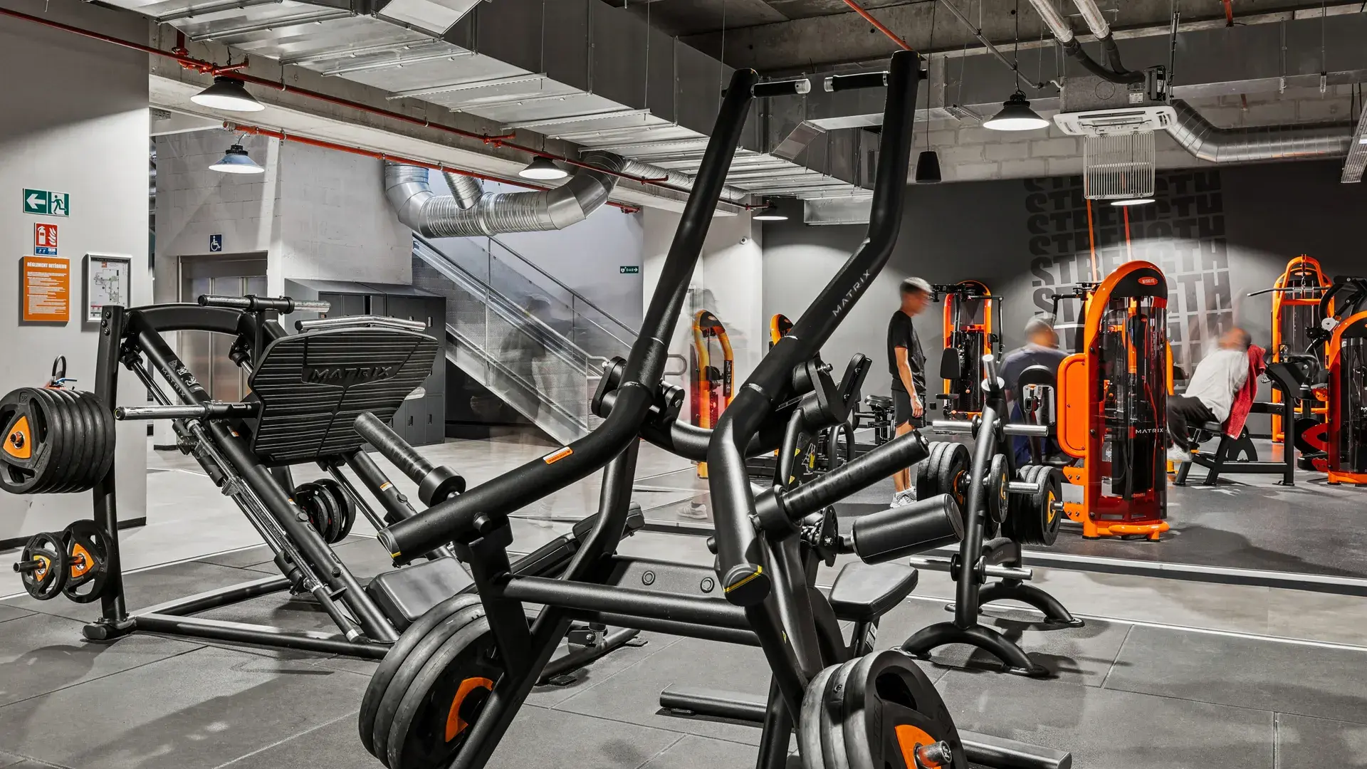 Miniature de la galerie