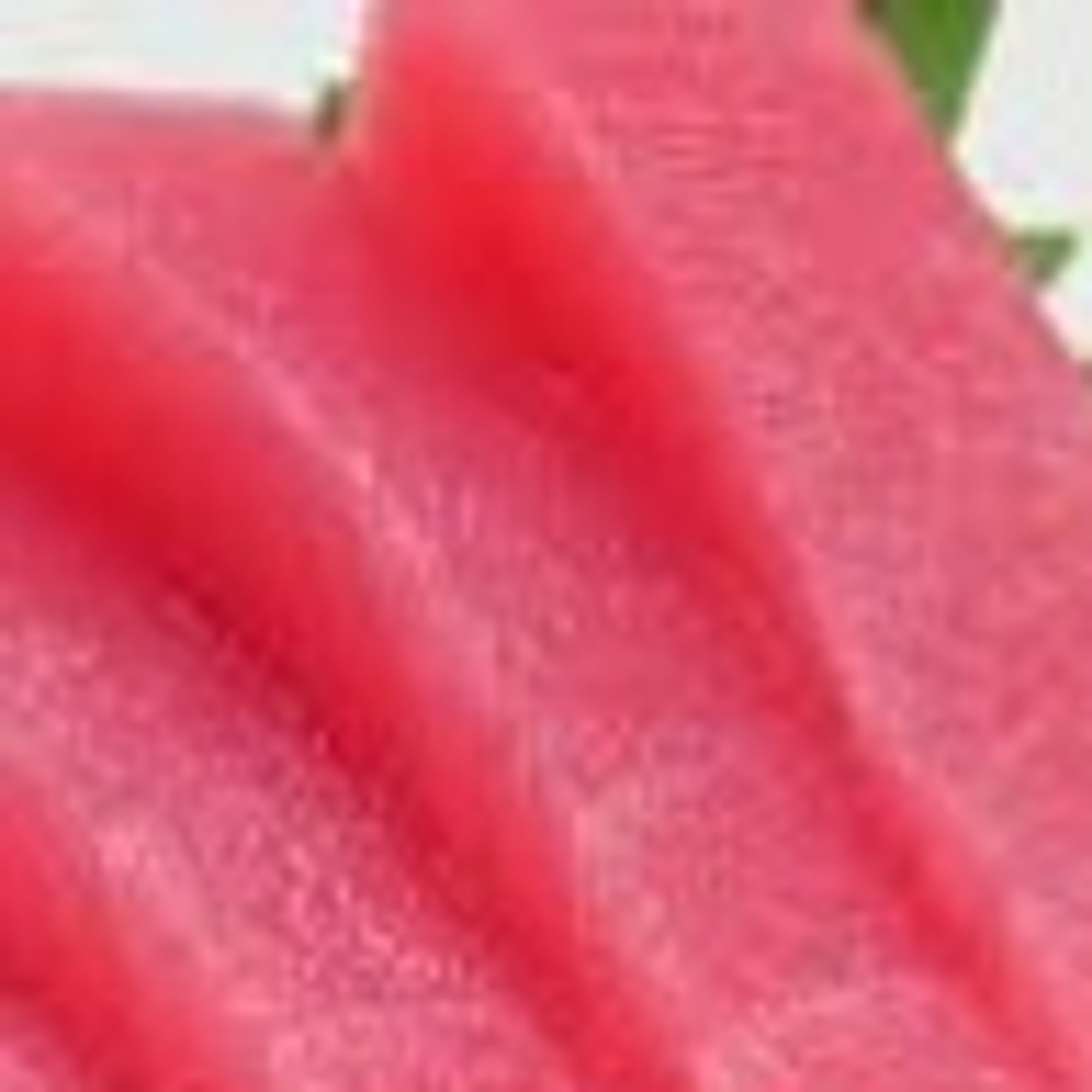 Tuna Sashimi
