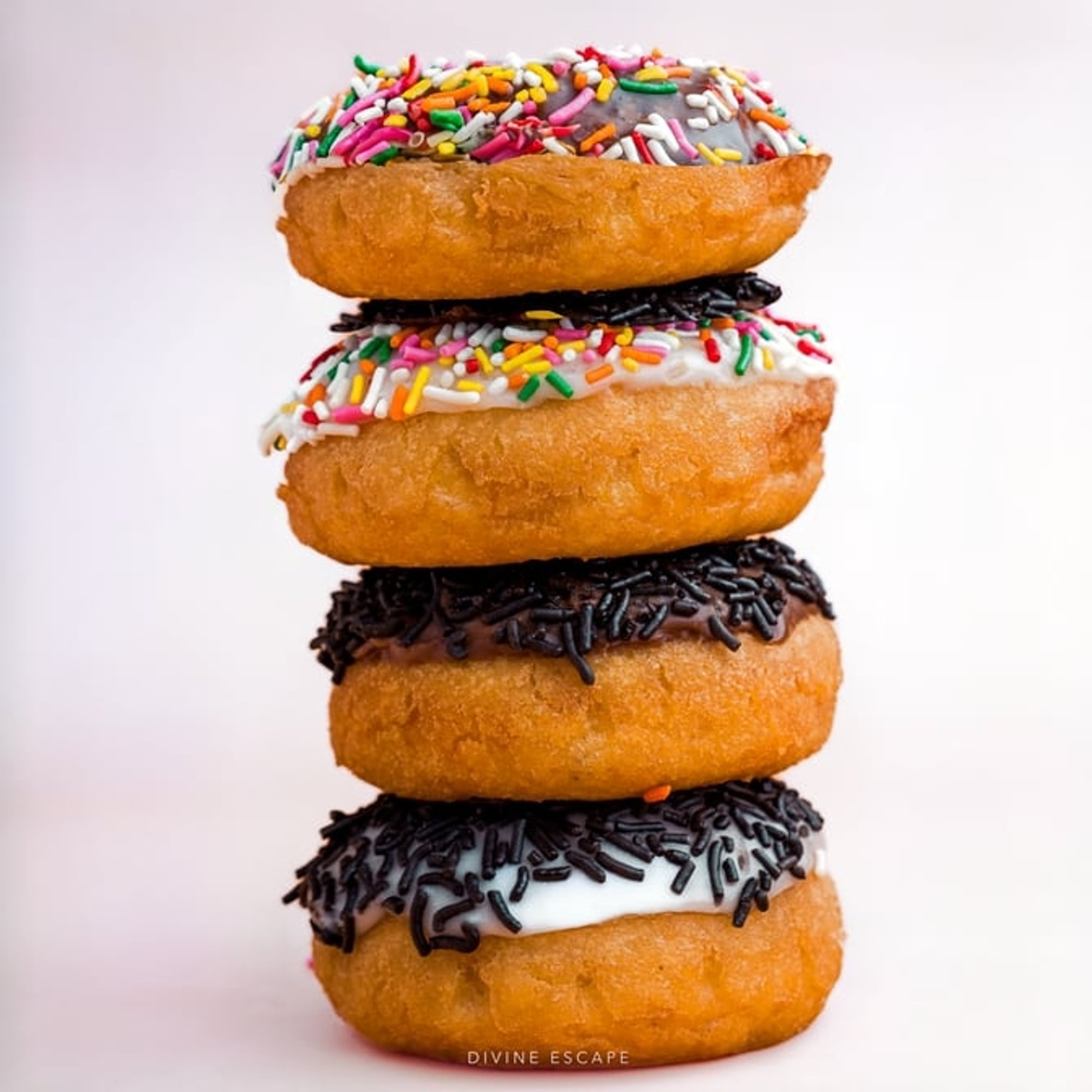 Mixed Dozen Donut