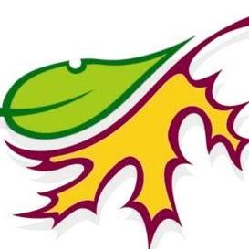 Action Landscaping Inc Logo