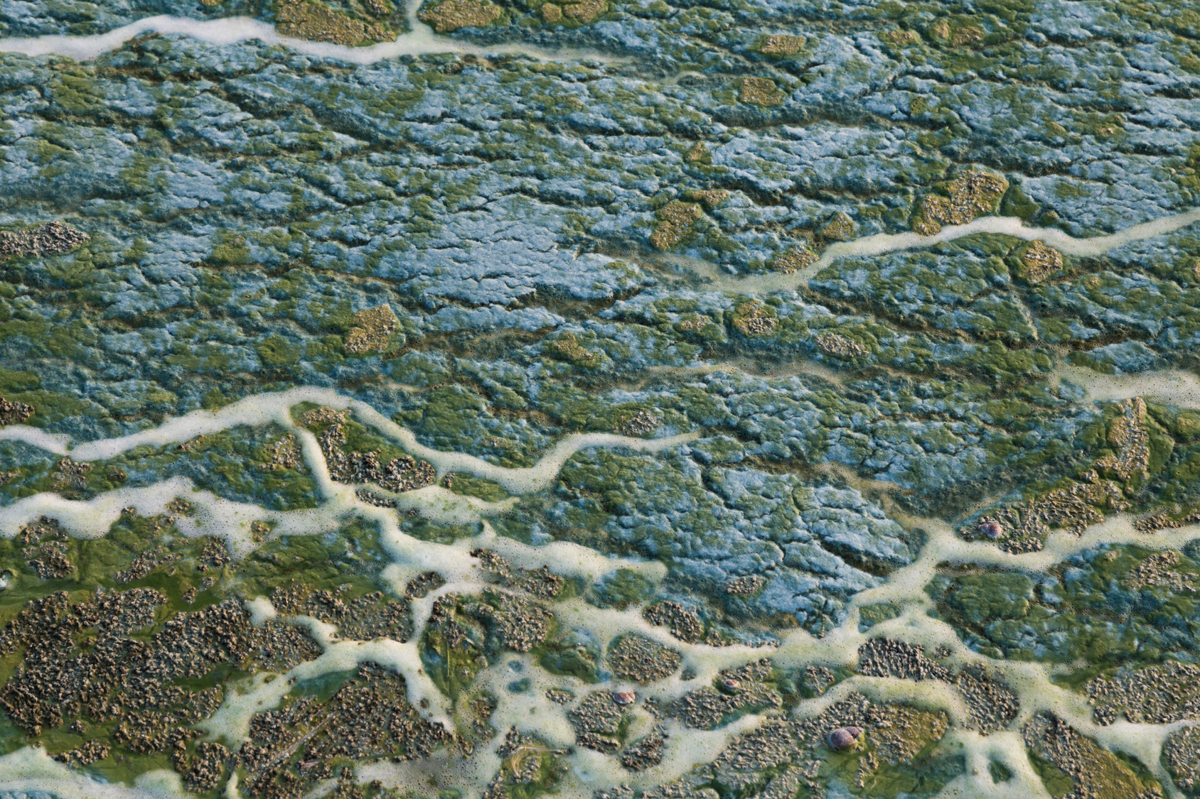 T.O.M. Industries LLC Logo