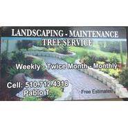 Pablo's Landscaping, Maintenance & Tree Service Photo
