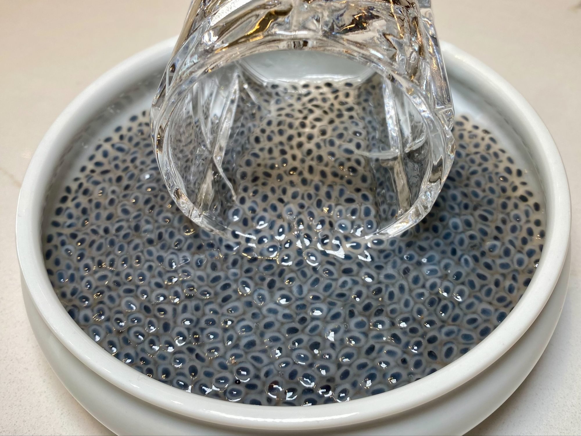 Basil Seed