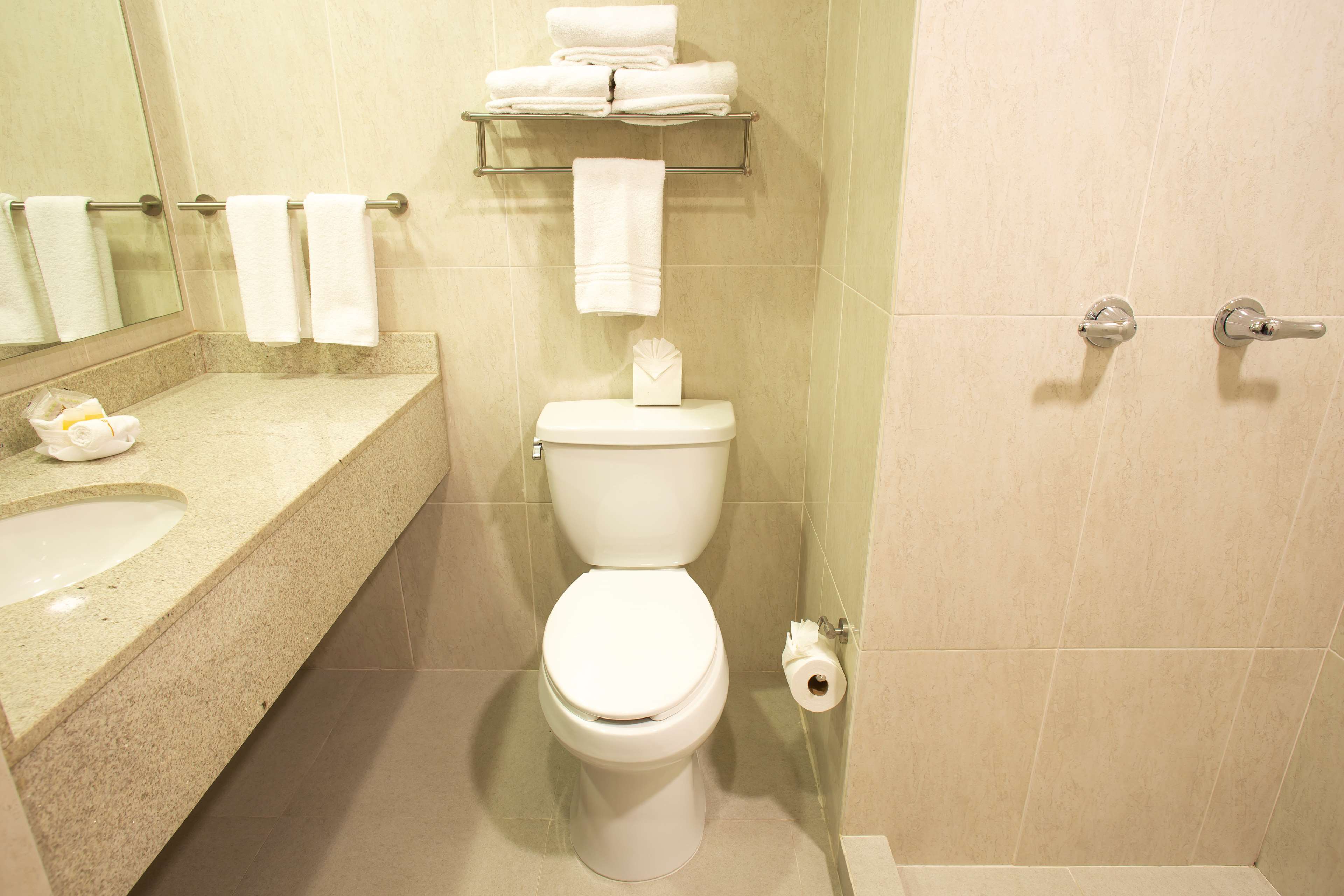 Images Best Western Plaza Monterrey