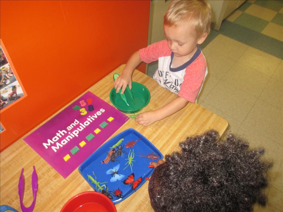 Sorting in the Math Center