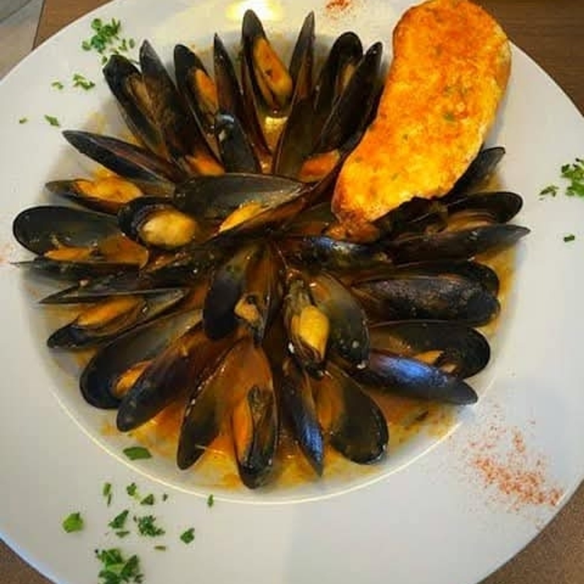 Mussels