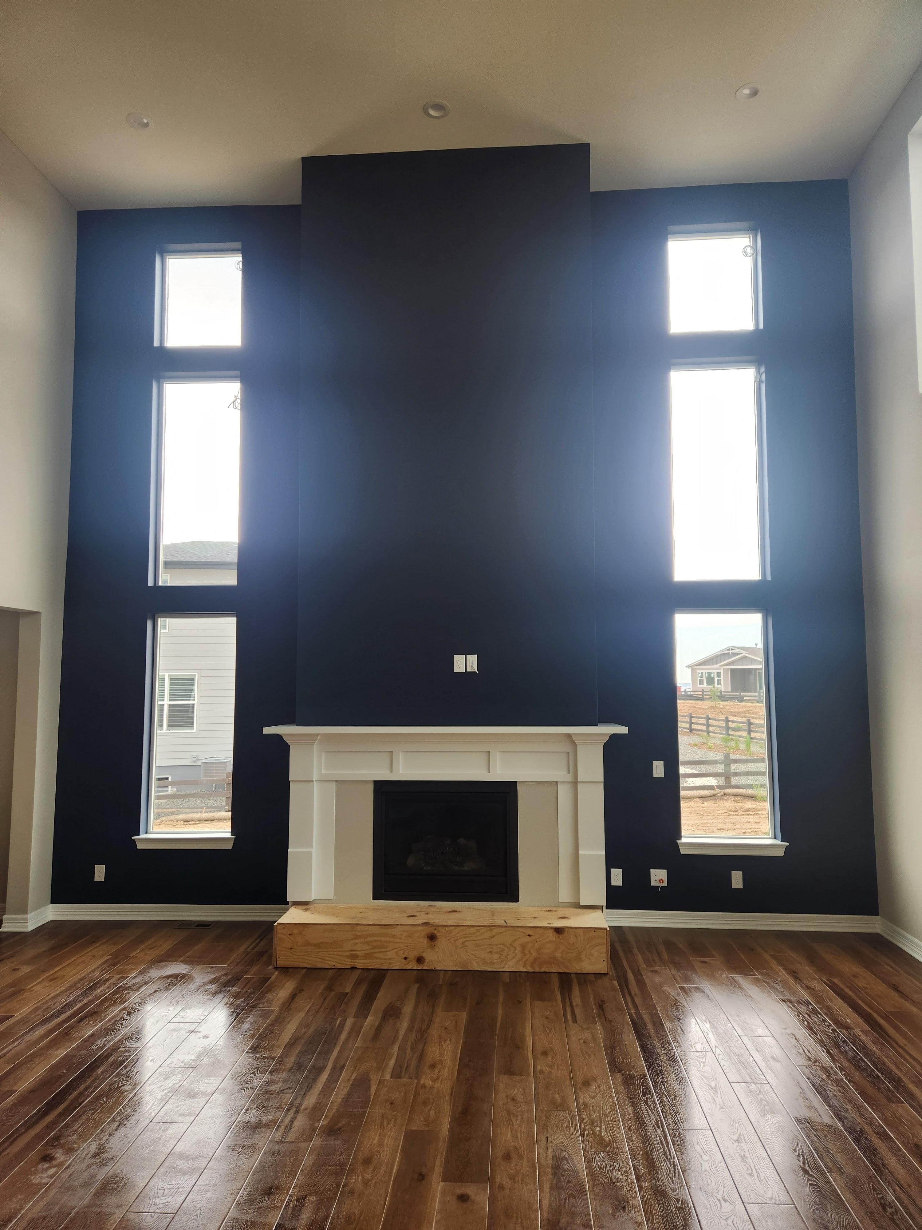 Wild Fox Painting of Highlands Ranch Image